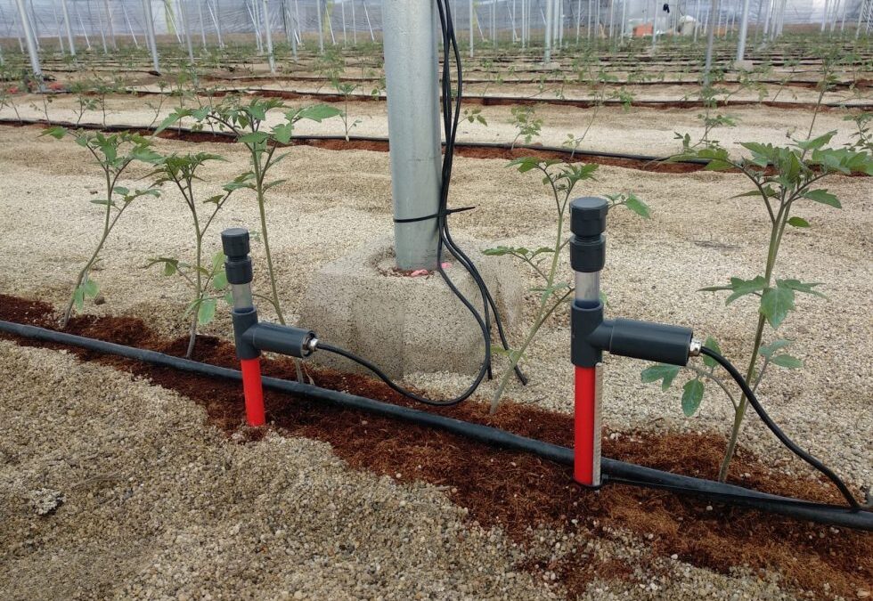 El uso de tensiómetros para un buen manejo del riego