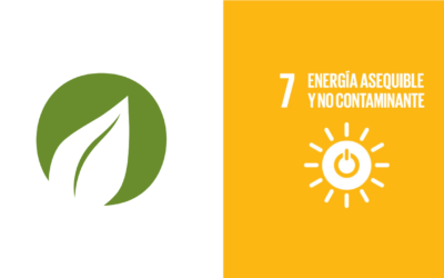 Ikostech y el Objetivo de Desarrollo Sostenible Número 7: Tecnología agrícola para una energía asequible y no contaminante