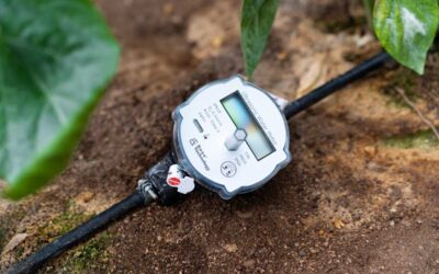Ikostech y la agricultura 4.0: Innovación tecnológica para una gestión decultivos más eficiente
