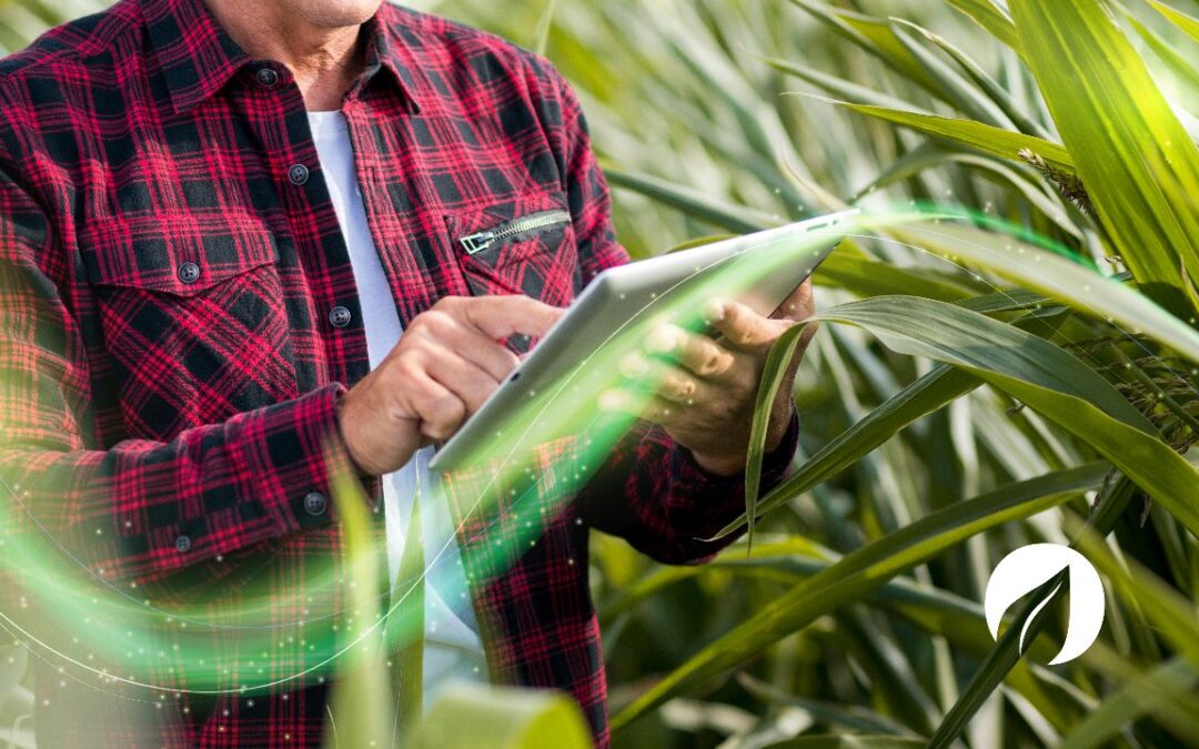 El Cuaderno de Campo Digital: Impulsando la Gestión Agrícola del Futuro