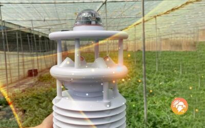 Asegura el éxito de tu cultivo con Ikosmeteo: La estación meteorológica inteligente para tu invernadero.