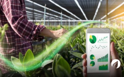 Innovación en la agricultura: Herramientas para el éxito de tus cultivos.
