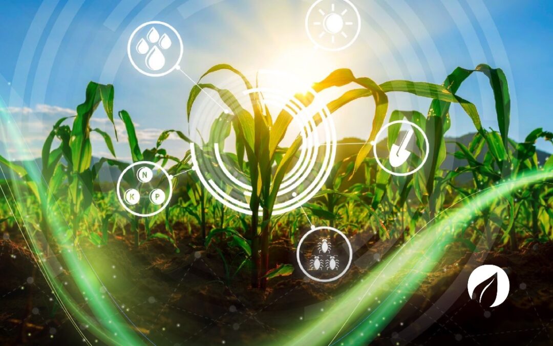 El pack básico de IKOSTECH: Todo lo que necesitas para empezar en el mundo de la agricultura inteligente