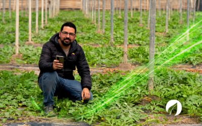Preparando tus campos para el éxito: La vuelta al trabajo agrícola