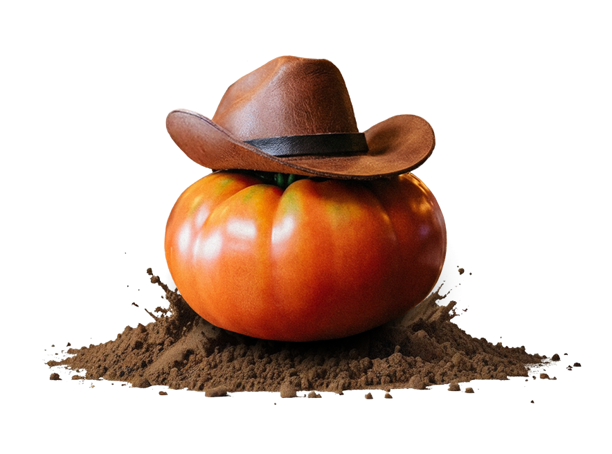 gestión agrícola ikos notes