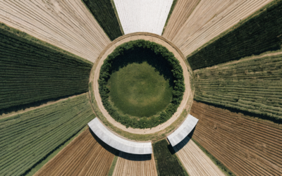 Huella hídrica en agricultura: gestión eficiente mediante tecnología de precisión 