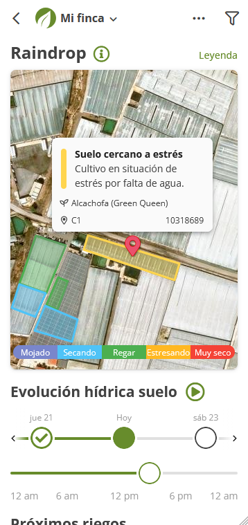 imagen (9)