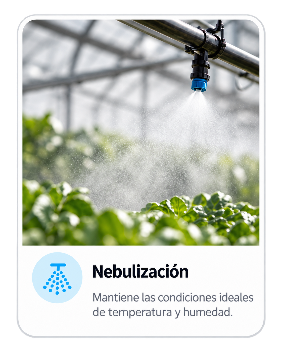 Nebulización