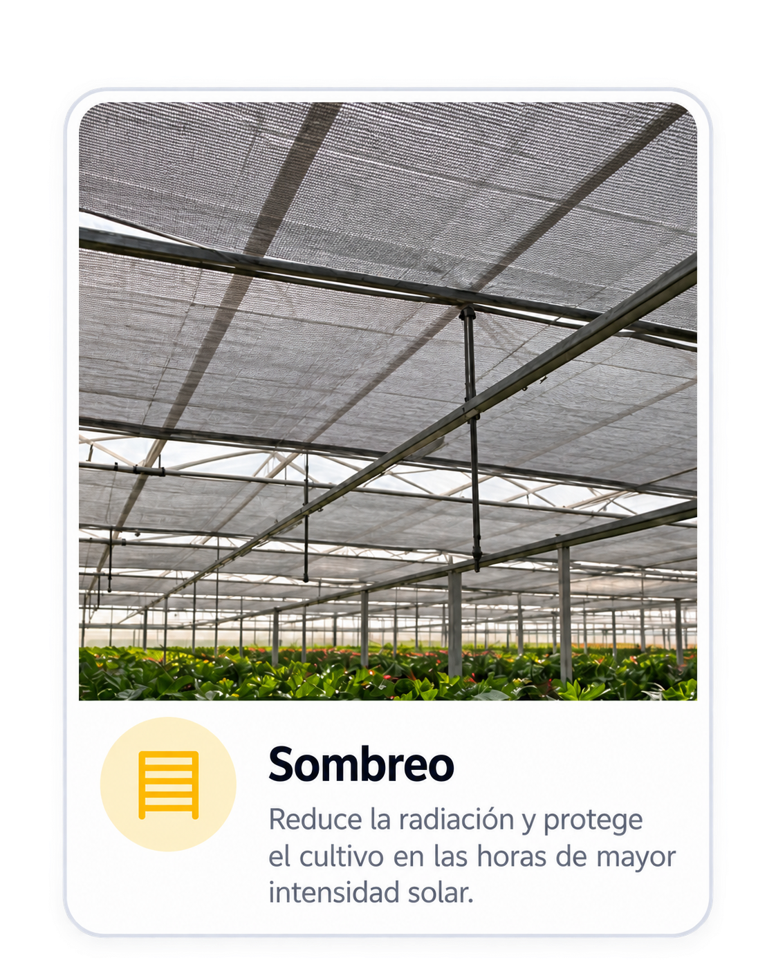 Sombreo